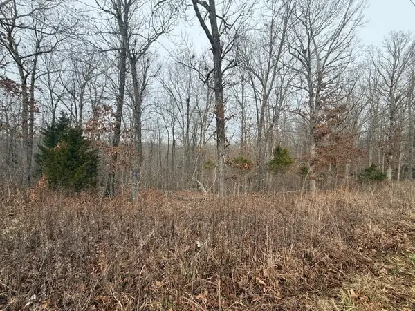 000 Us 63, Mammoth Spring, AR 72554