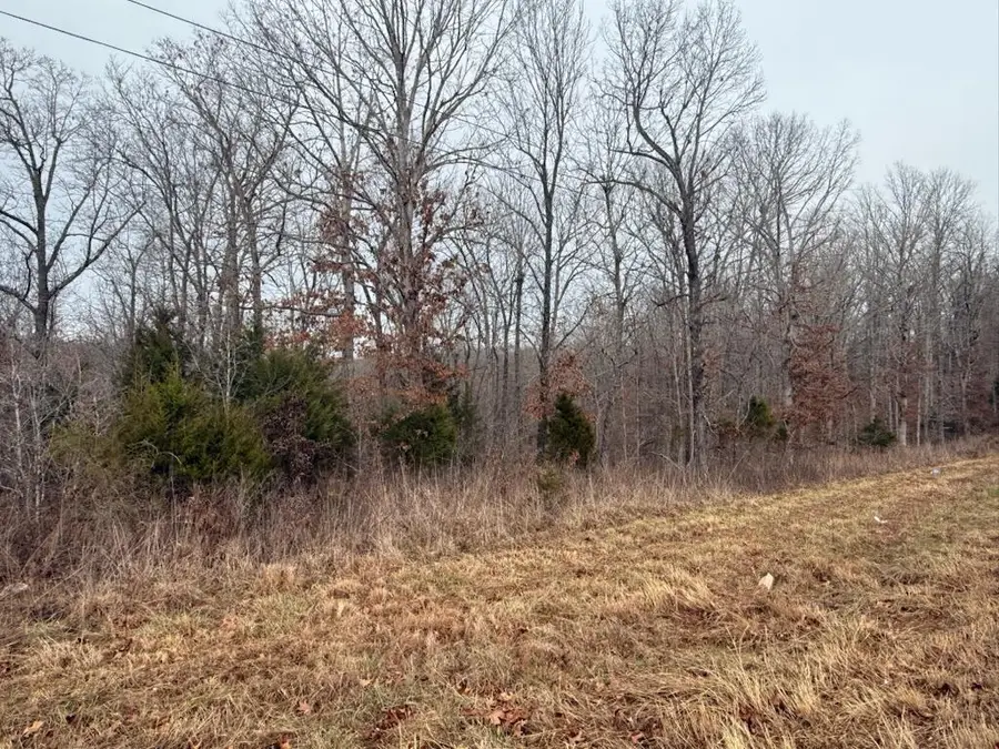 000 Us 63, Mammoth Spring, AR 72554 - Image #3