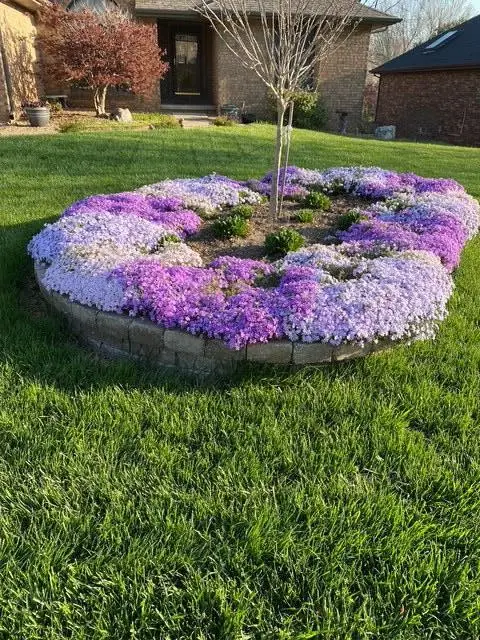 3901 E Kingsbury Street, Springfield, MO 65809 - Image #3