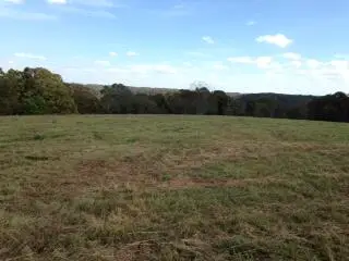 Tbd State Hwy Aa, Crane, MO 65633 - Image #3