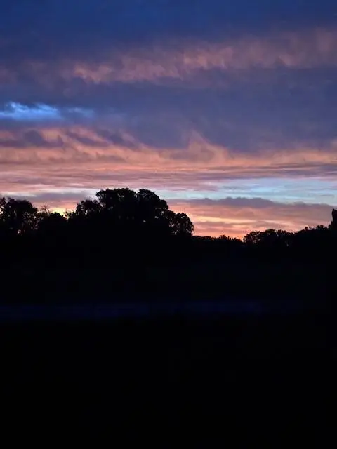 25 Acres S 90th Road, Flemington, MO 65650