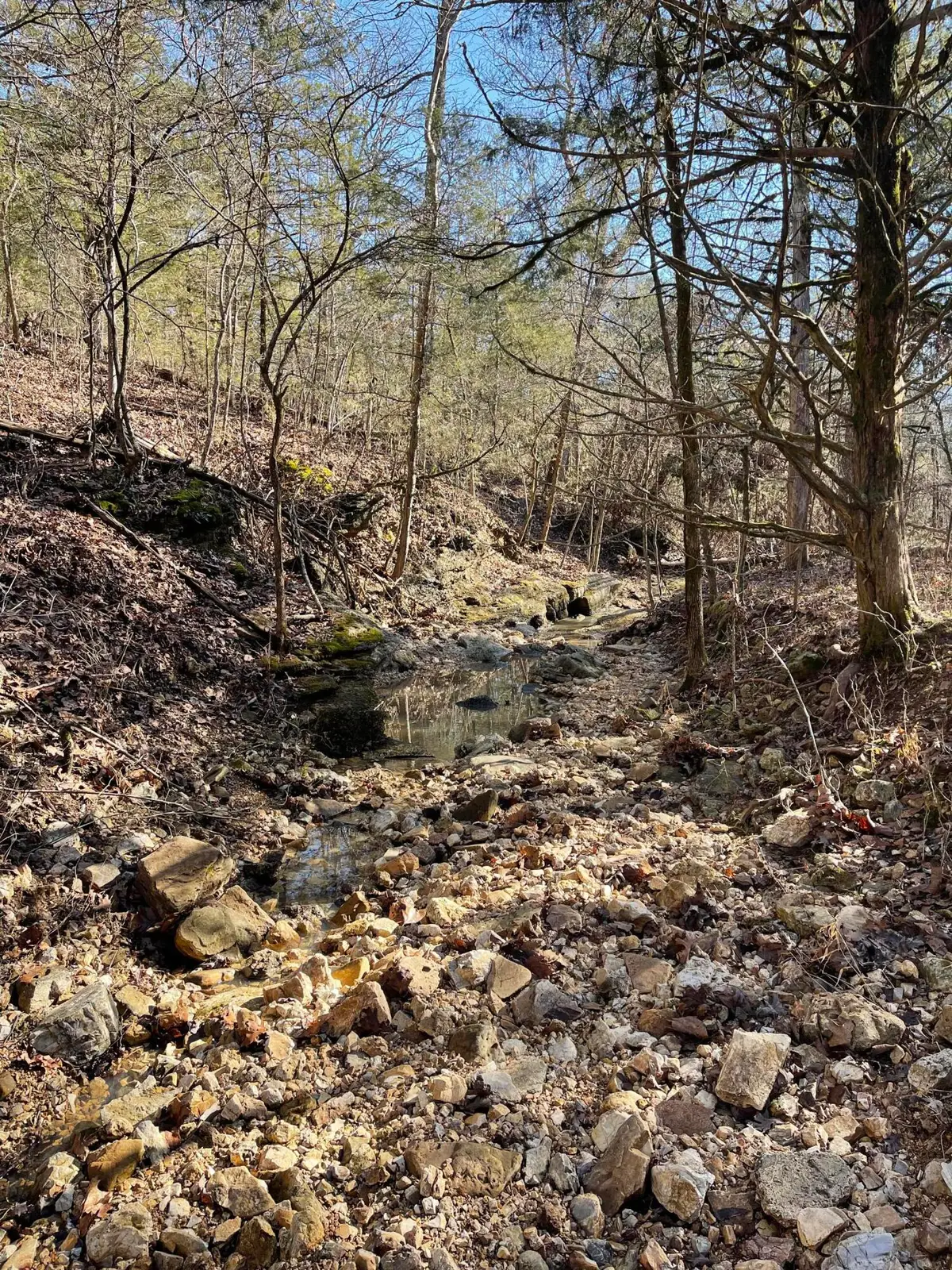 000 Us Hwy 160 #Section A & B, Gainesville, MO 65655 - #1