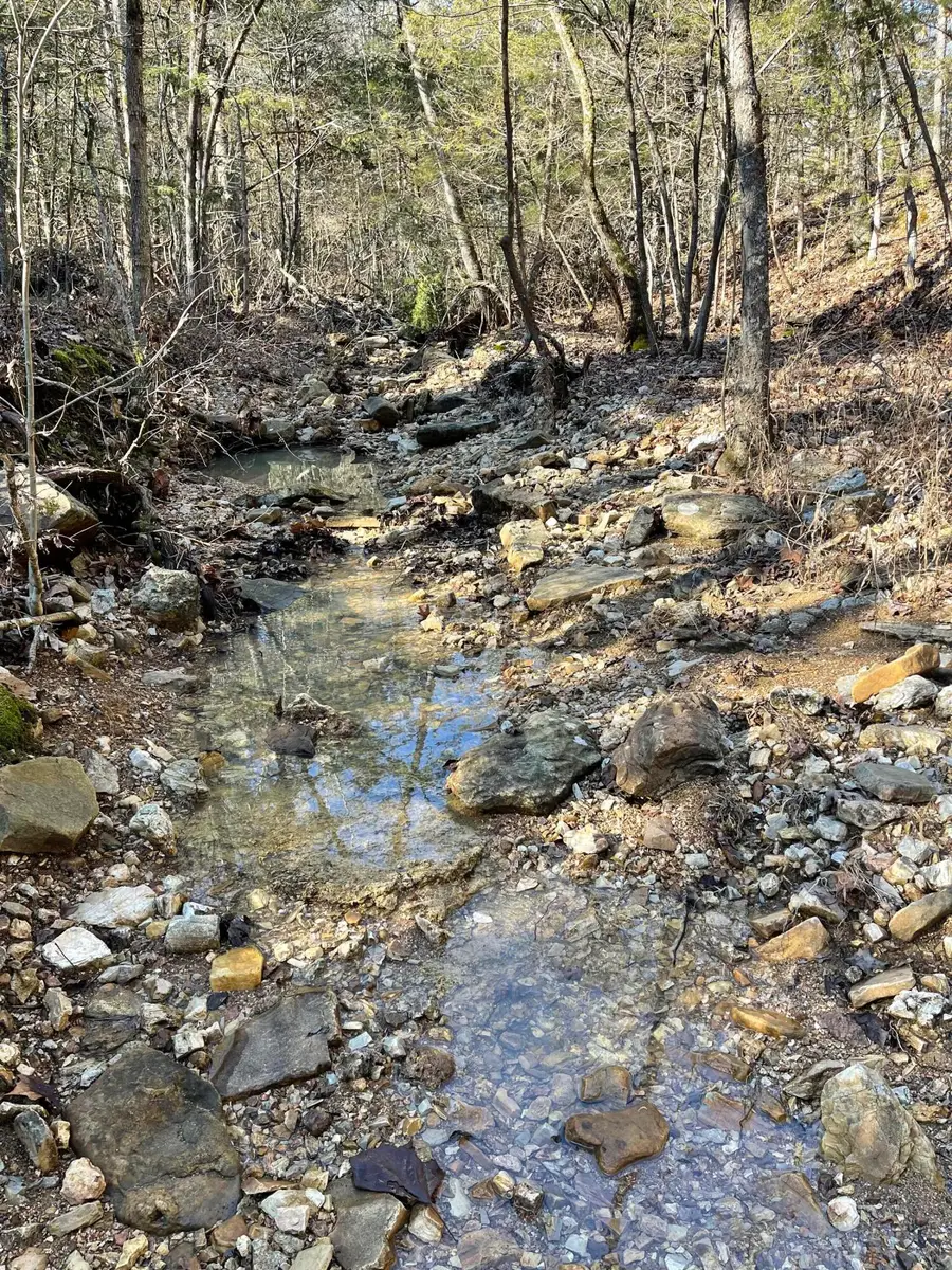 000 Us Hwy 160 #Section B & C, Gainesville, MO 65655 - #2