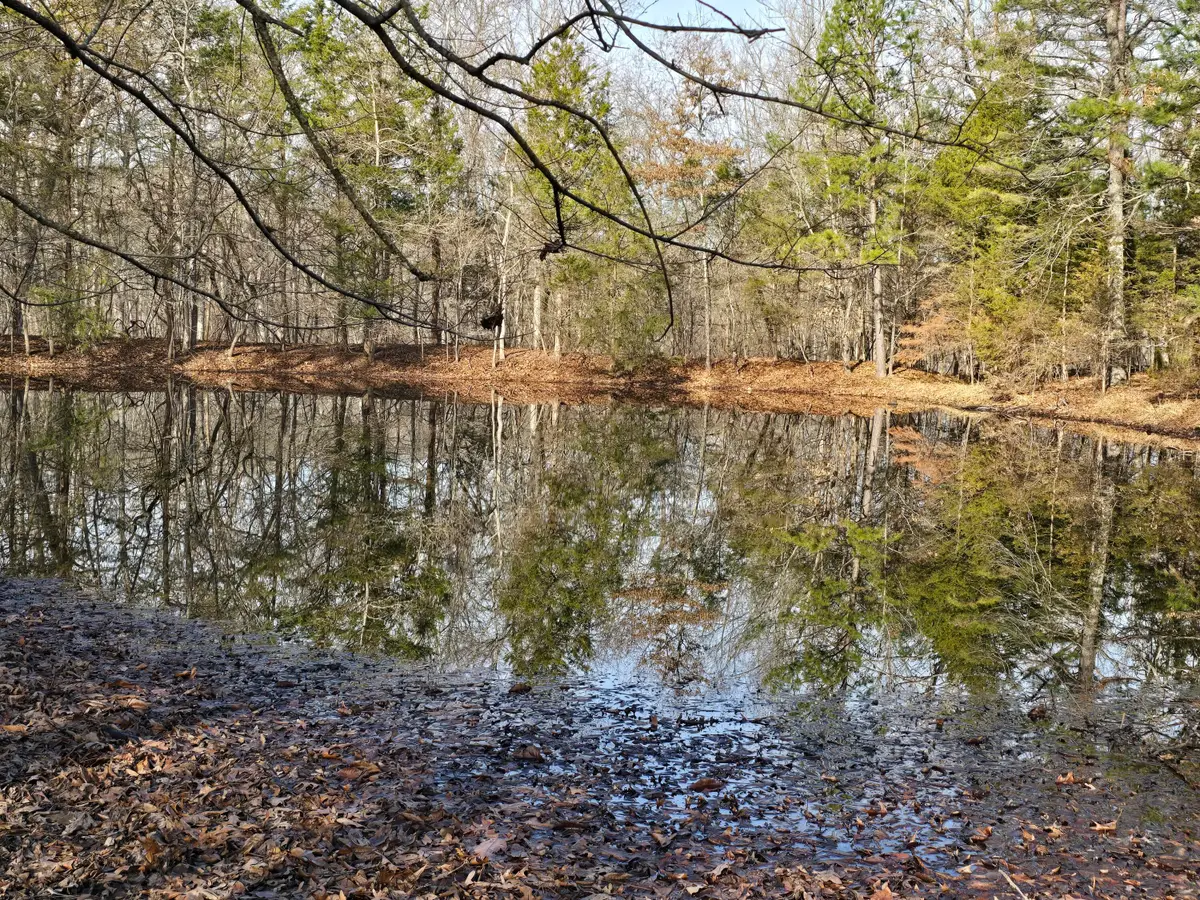 000 Airport Road, Houston, MO 65483 - Image #1