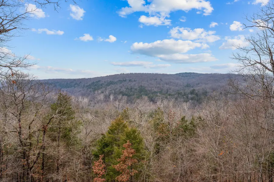 370 Tall Oaks Drive, Branson, MO 65616 - Image #2