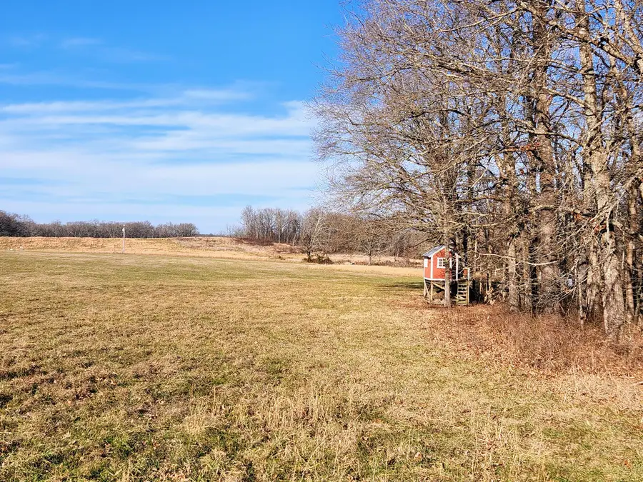 000 County Road 8200, West Plains, MO 65775 - Image #2