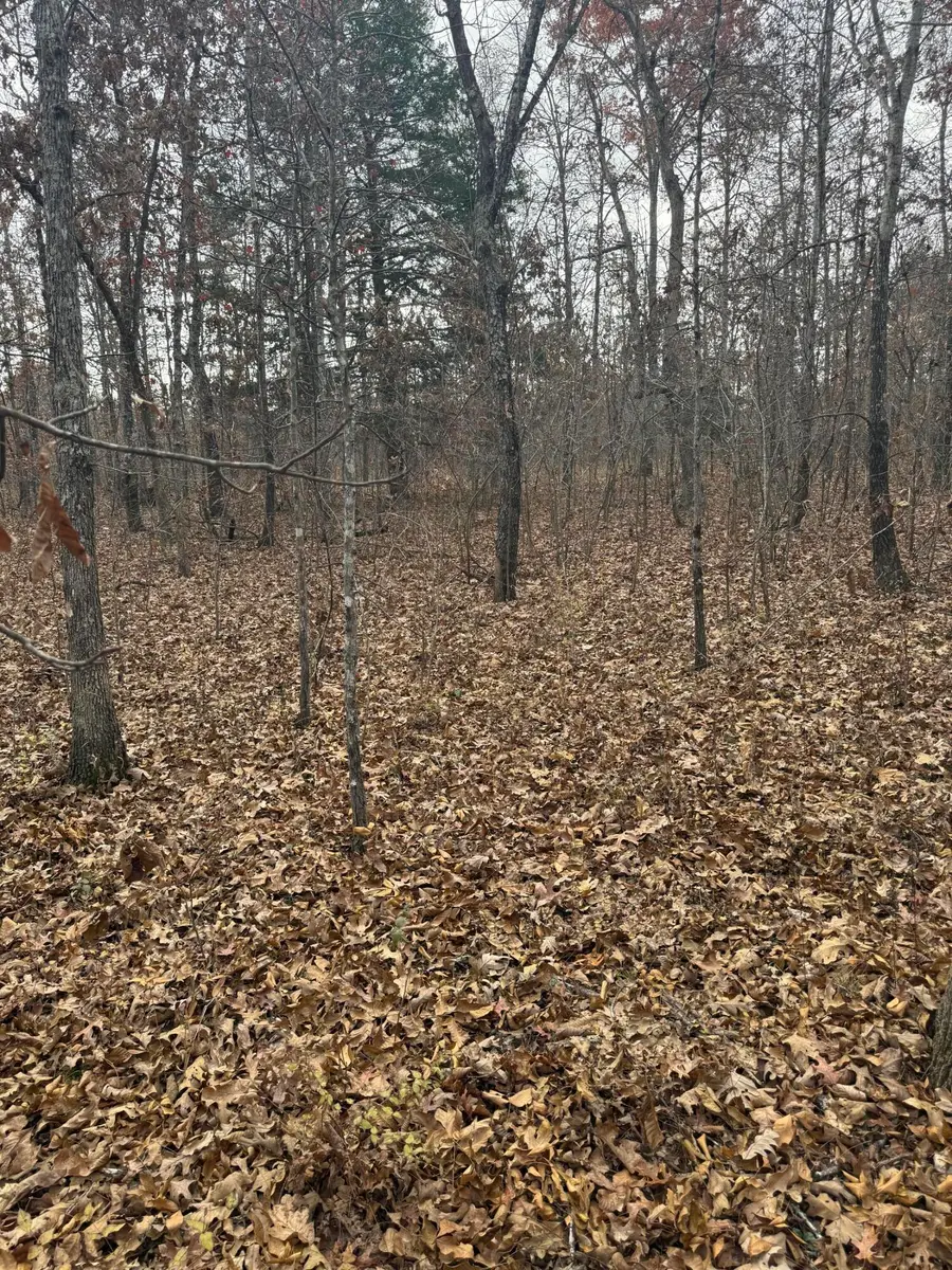 000 Forest Road 3169, Winona, MO 65588 - Image #3