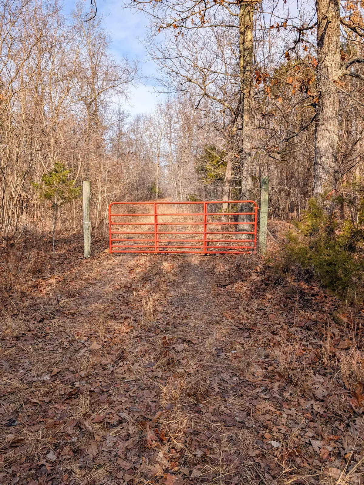 000 N E Highway, Hartville, MO 65667 - Image #1