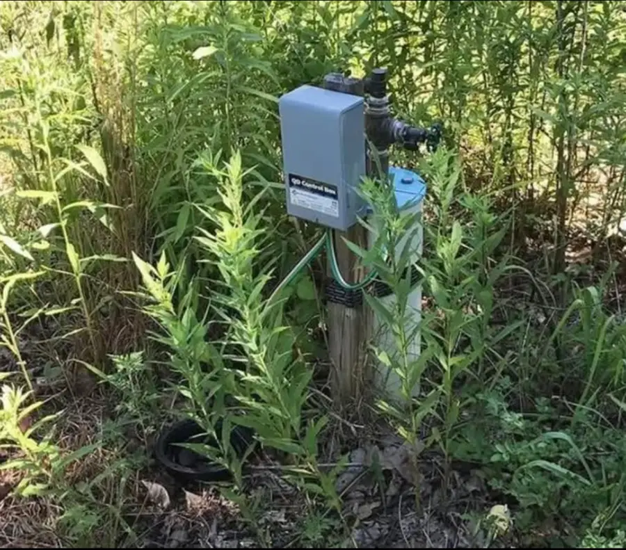 000 N E Highway, Hartville, MO 65667 - Image #3