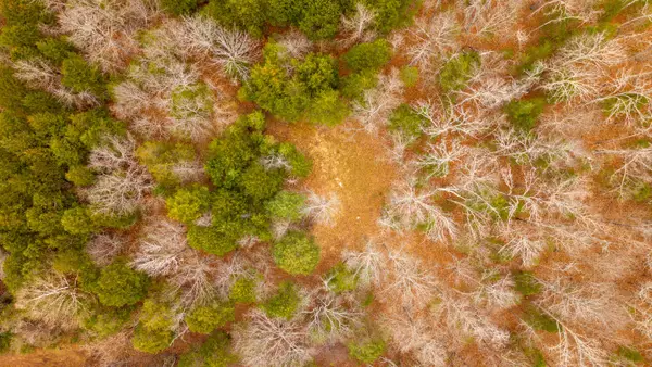 000 State Highway 142 W, Thayer, MO 65791