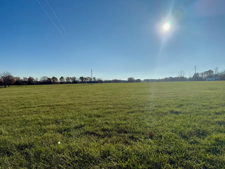 000 State Highway P, Clever, MO 65631 - Image #3