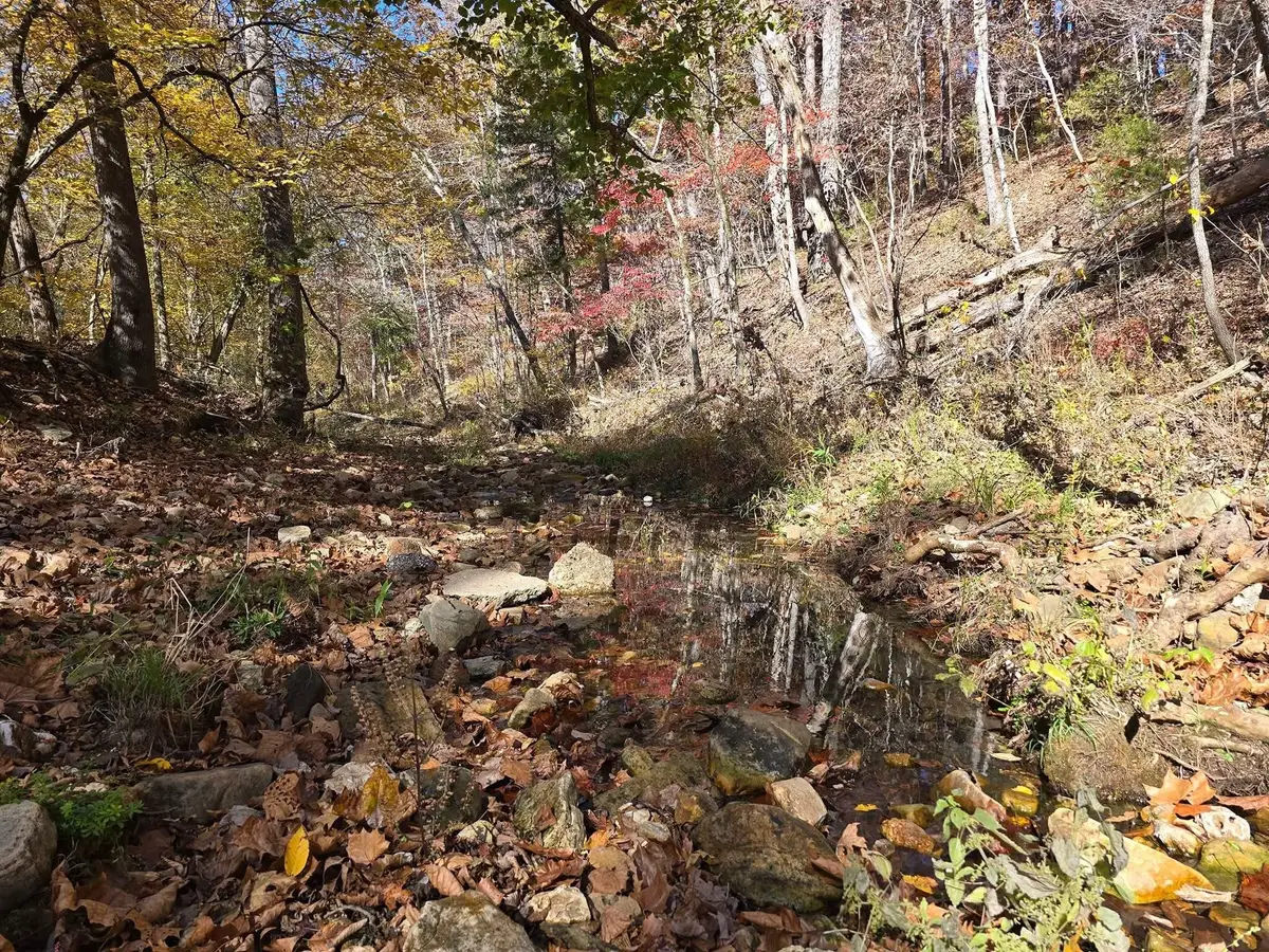 000 Mineral Dr. Lot 2, Houston, MO 65483 - Image #1