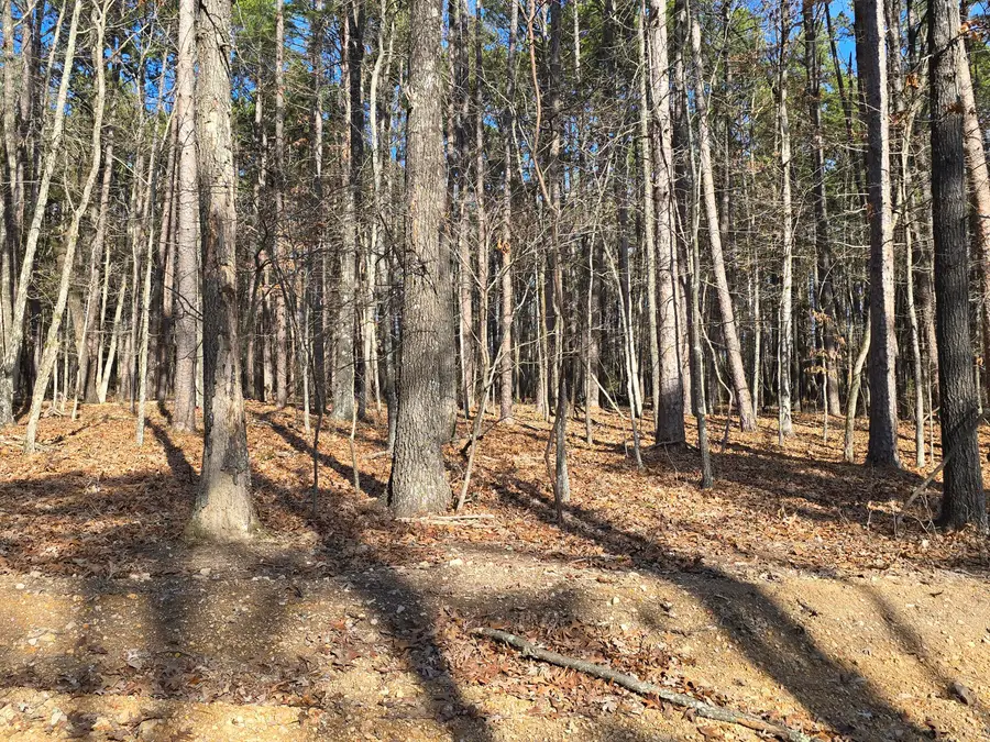 000 Mineral Dr. Lot 2, Houston, MO 65483 - Image #3