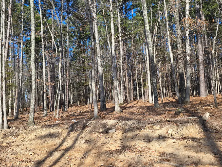 000 Mineral Dr. Lot 4, Houston, MO 65483 - Image #2