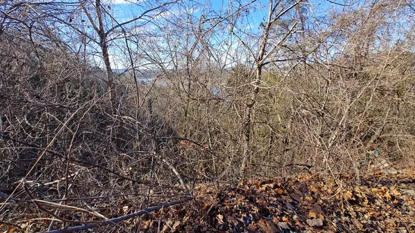 Lot 54 Skylee Drive, Hollister, MO 65672