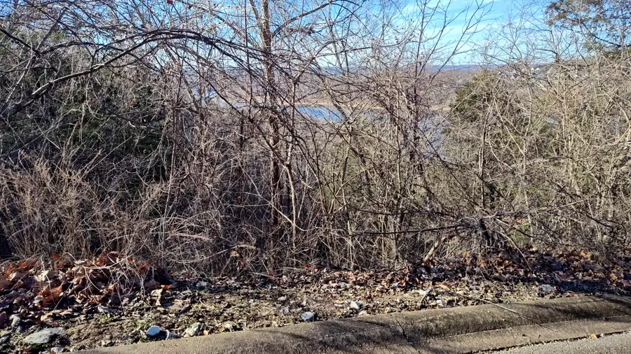 Lot 54 Skylee Drive, Hollister, MO 65672 - Image #2