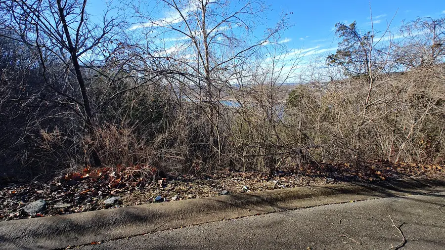 Lot 54 Skylee Drive, Hollister, MO 65672 - Image #3