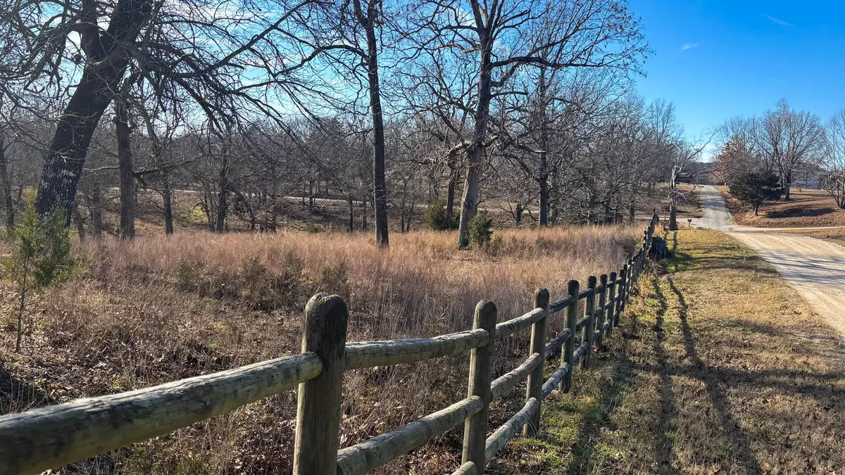 Tbd County Road 640, Theodosia, MO 65761 - Image #1