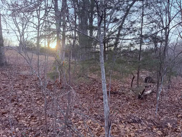 000 N Dade 173, Greenfield, MO 65661