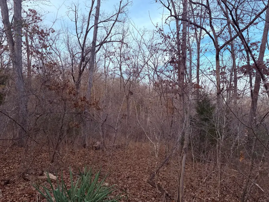 000 N Dade 173, Greenfield, MO 65661 - Image #3