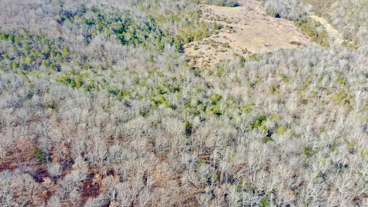 000 Flowstone Ln, Gainesville, MO 65655 - Image #1