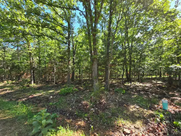 Lot 13 Tall Oaks, Pittsburg, MO 65724