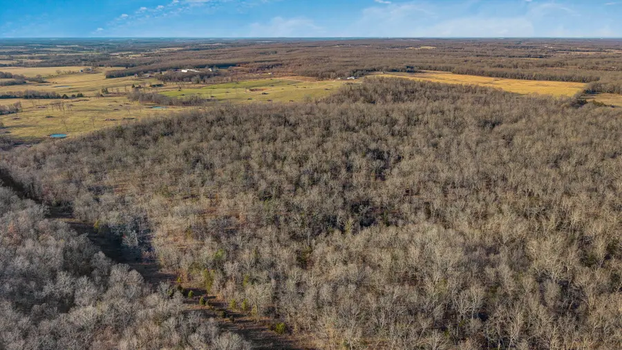 Tbd Keepsake Road, Stoutland, MO 65567 - Image #3