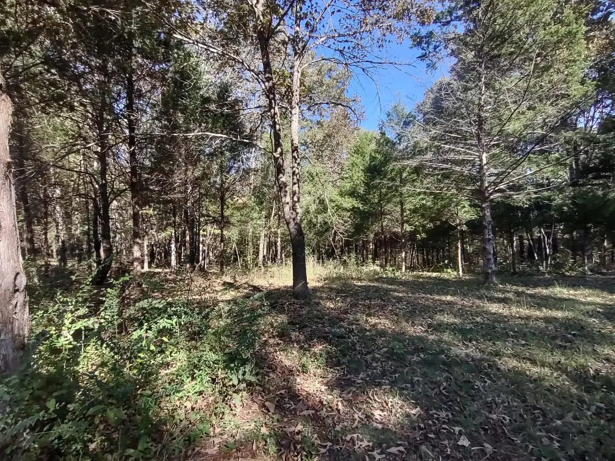 000 State Highway 101, Bakersfield, MO 65609 - Image #1