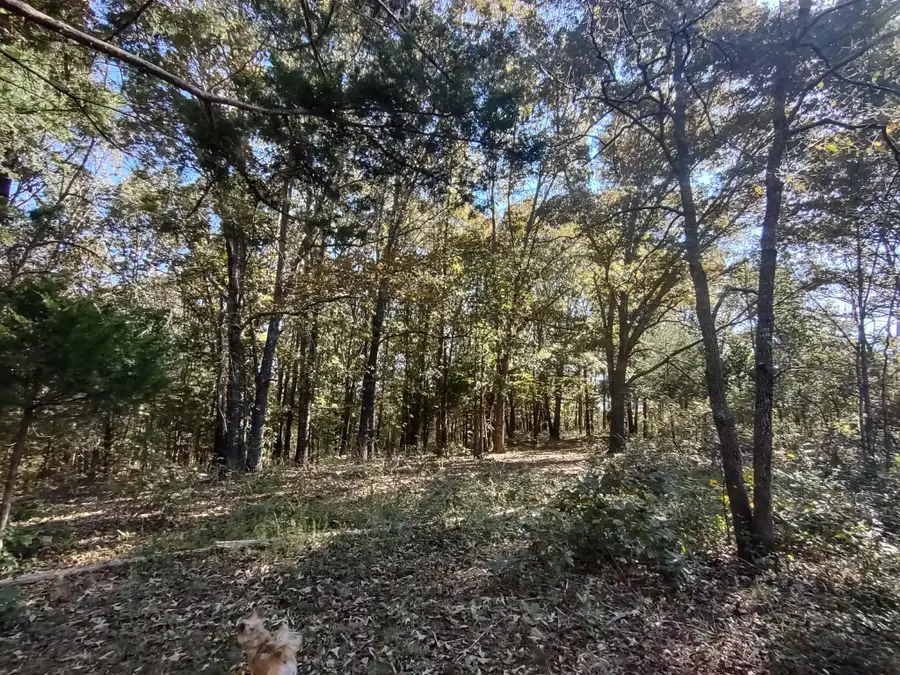 000 State Highway 101, Bakersfield, MO 65609 - Image #2