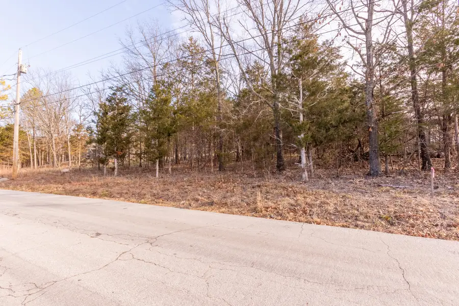 000 Potential Drive, Hollister, MO 65672 - Image #3