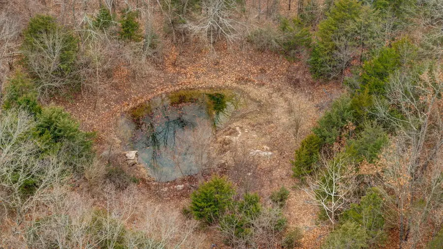 000 E 482nd Road, Bolivar, MO 65613 - Image #2