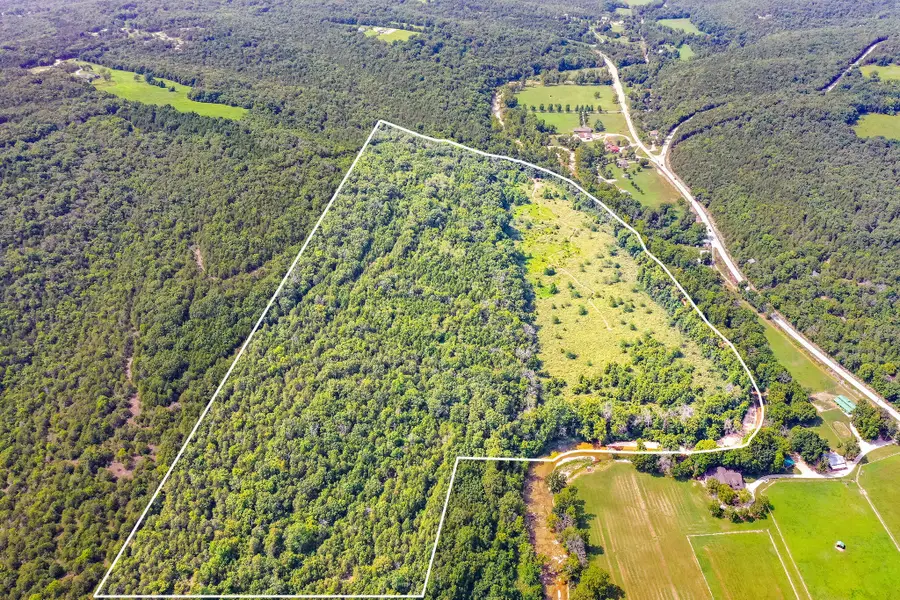 7764 Us Highway 160, Walnut Shade, MO 65771 - Image #3