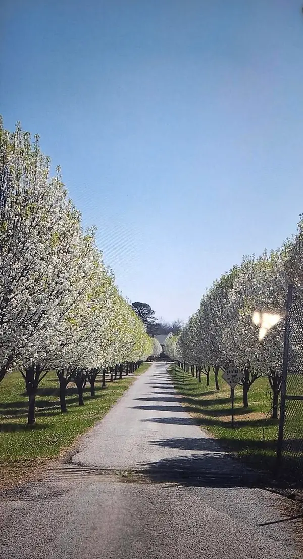 000 W Copper Creek Drive, Nixa, MO 65714