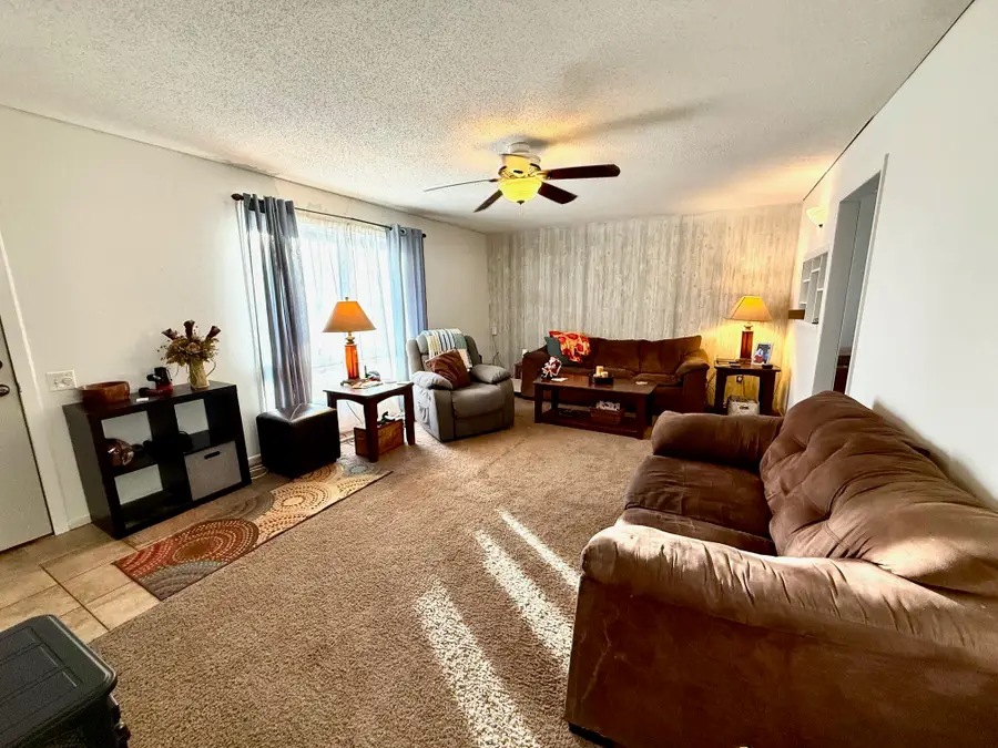 699 N Oak Hill Drive, Houston, MO 65483 - Image #2