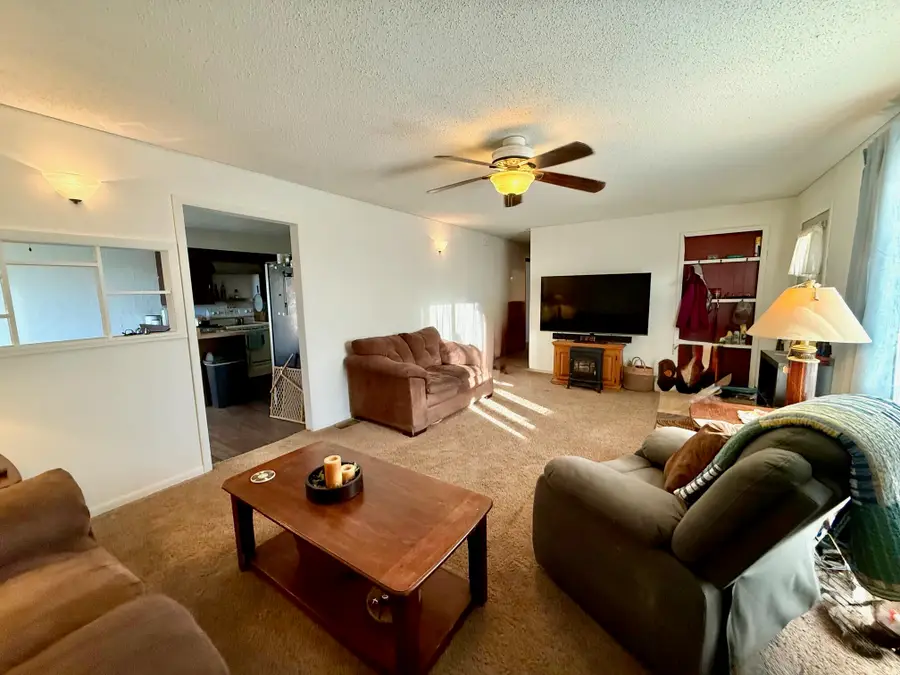 699 N Oak Hill Drive, Houston, MO 65483 - Image #3