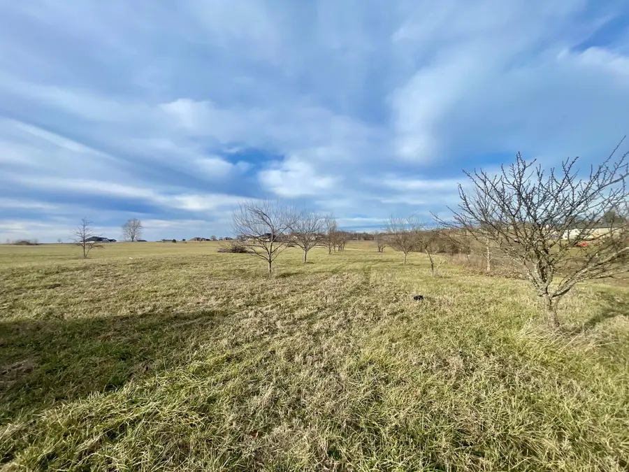 000 Terrell Valley Drive, Republic, MO 65738 - Image #3