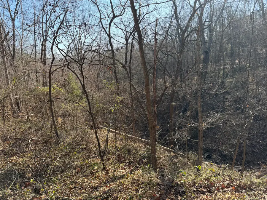 412 Hilltop Road, Noel, MO 64854 - #2