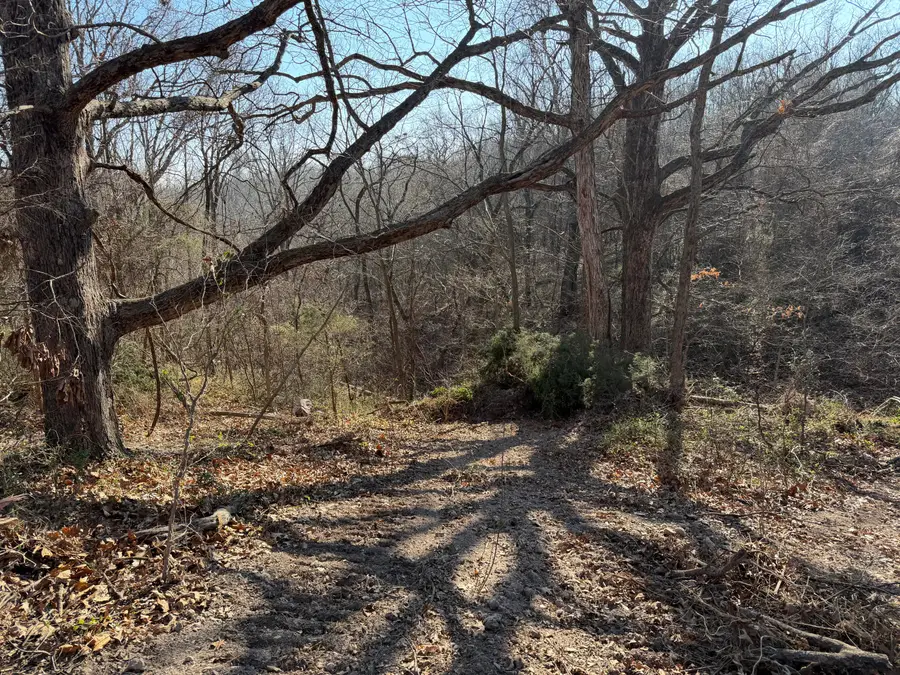 412 Hilltop Road, Noel, MO 64854 - #3