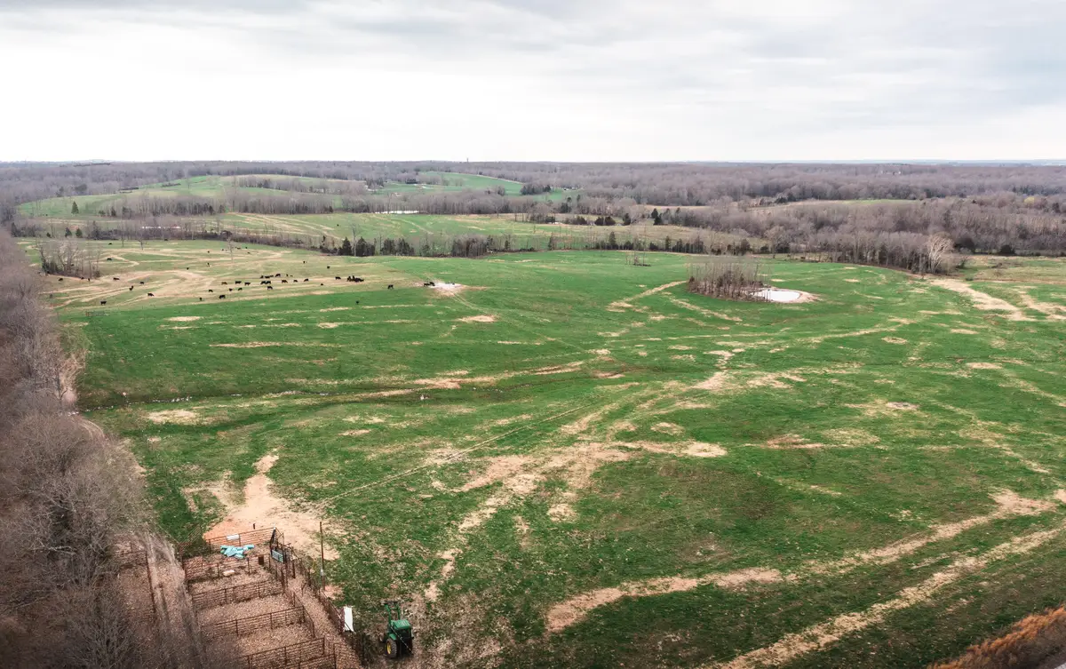 0 Kofhal Road, Licking, MO 65542 - Image #1