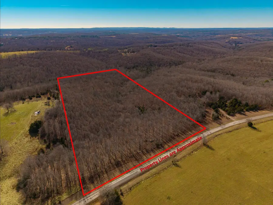 000 County Road 95-v #Lot A, Drury, MO 65638 - #3