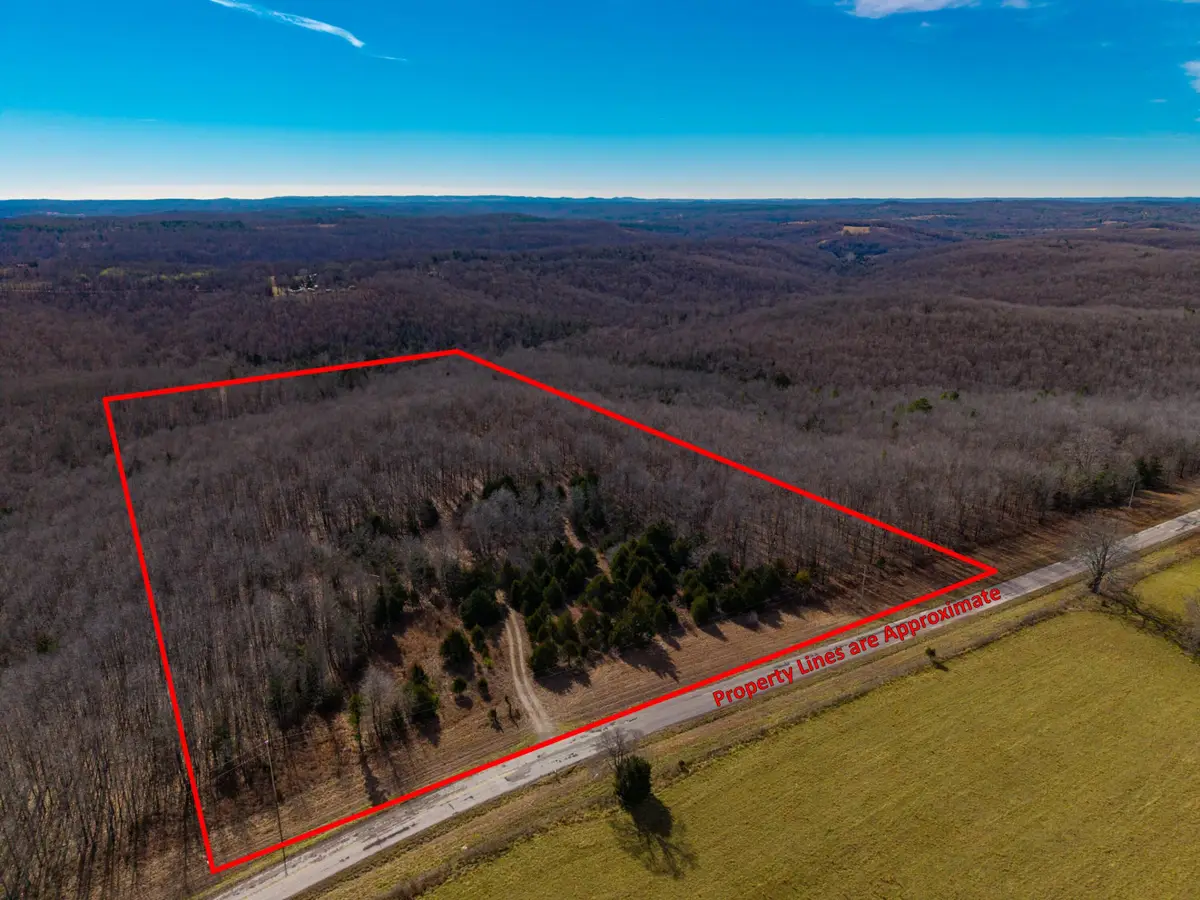 31616 County Road 95-v #(Lot B), Drury, MO 65638 - #1