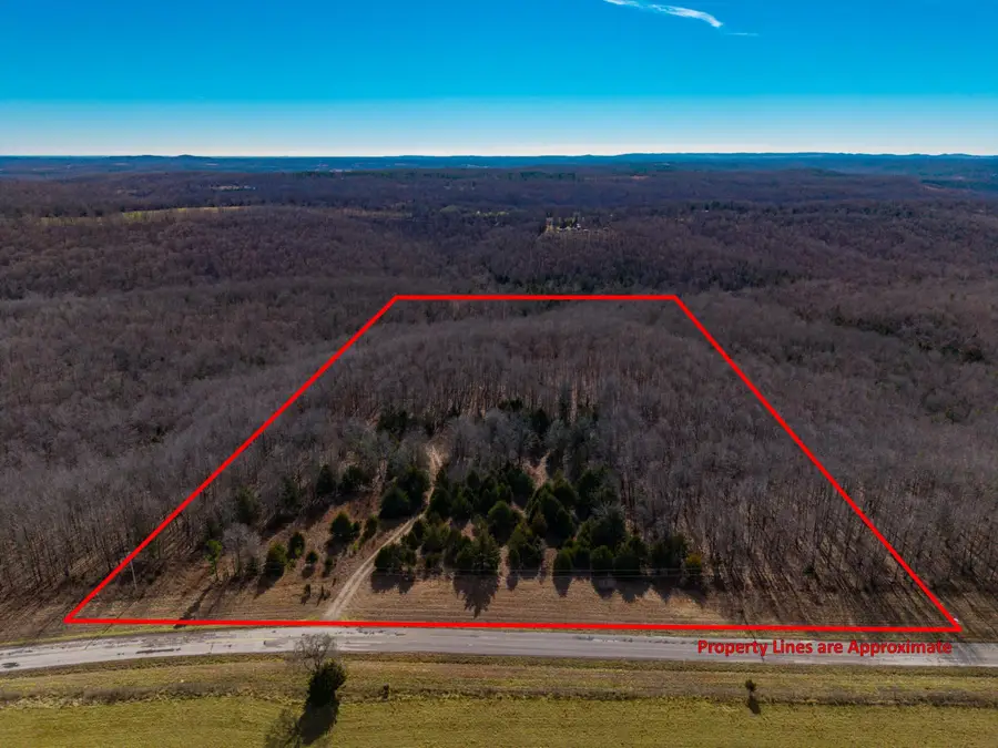 31616 County Road 95-v #(Lot B), Drury, MO 65638 - #3