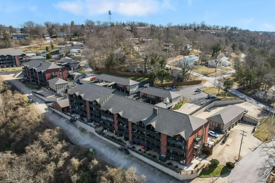 150 Sunken Forest Drive #243, Forsyth, MO 65653 - Image #3