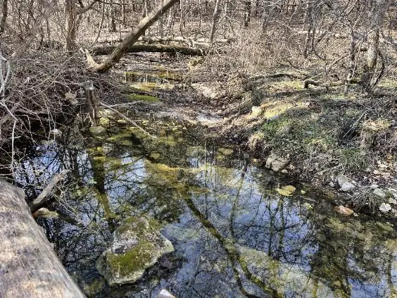 12257 Y-521 Road, Ava, MO 65608