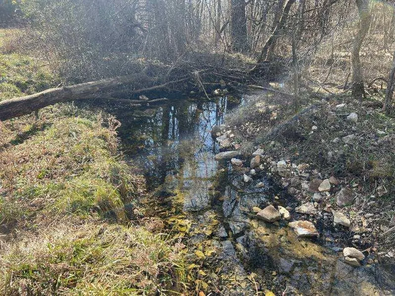 12257 Y-521 Road, Ava, MO 65608 - Image #2