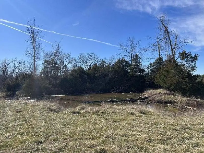 12257 Y-521 Road, Ava, MO 65608 - Image #3