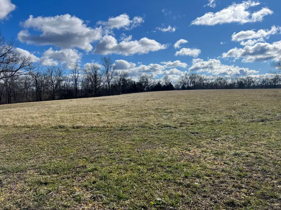 000 Buttercup Lane, Seymour, MO 65746 - Image #2