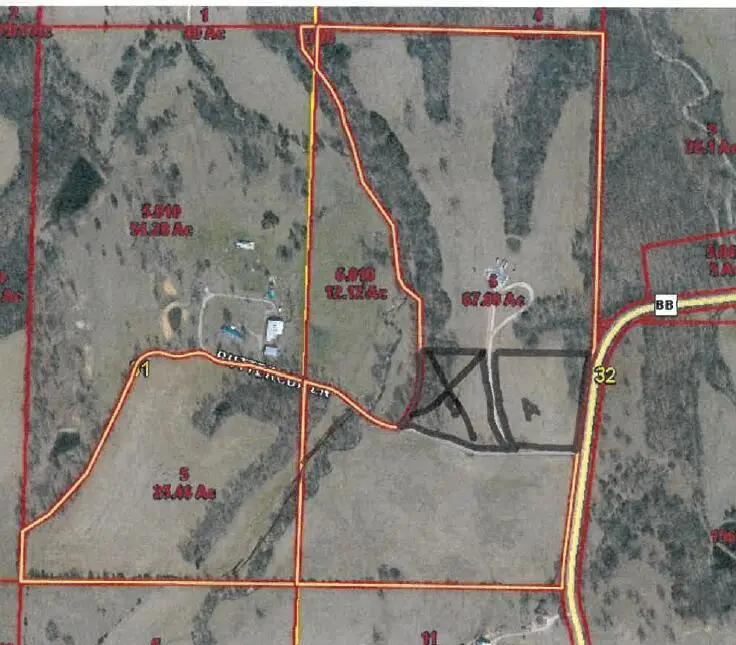 000 Buttercup Lane, Seymour, MO 65746 - Image #3