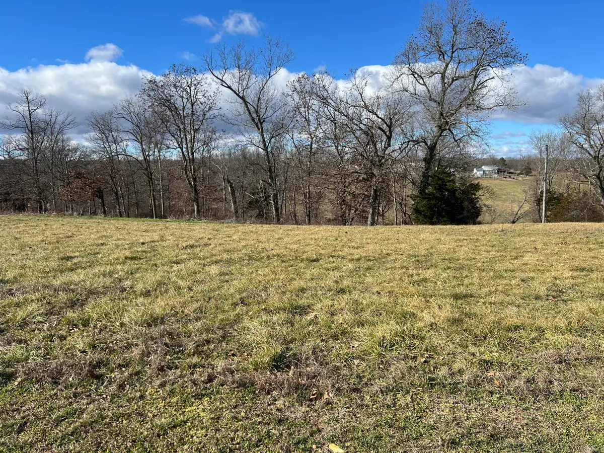 000 Buttercup Lane, Seymour, MO 65746 - Image #1