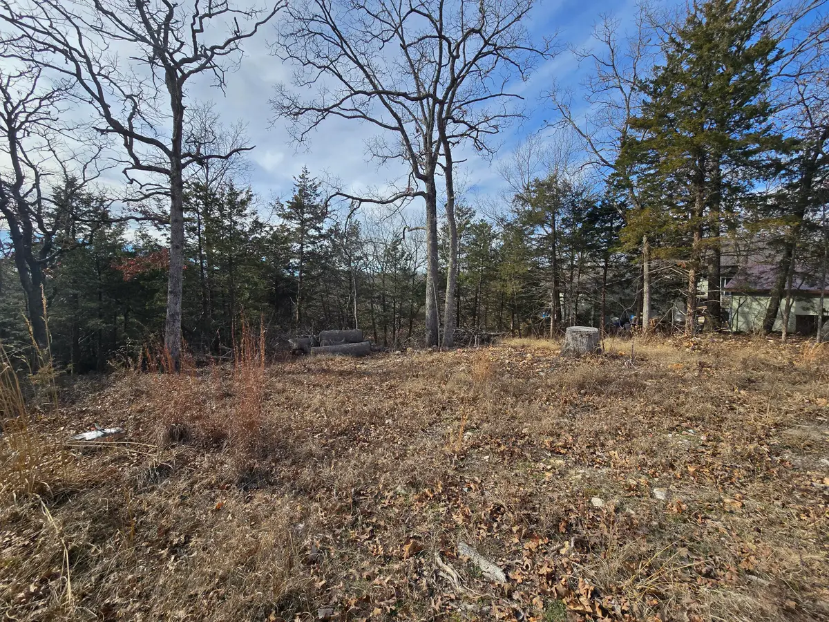 000 County Road 205 L, Wheatland, MO 65779 - Image #1